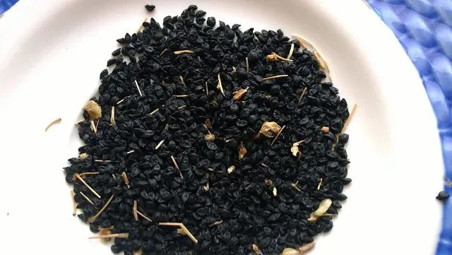 High-Yield Onion Seeds